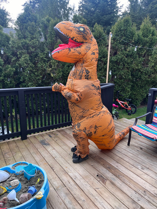Dinosaur Costume rental