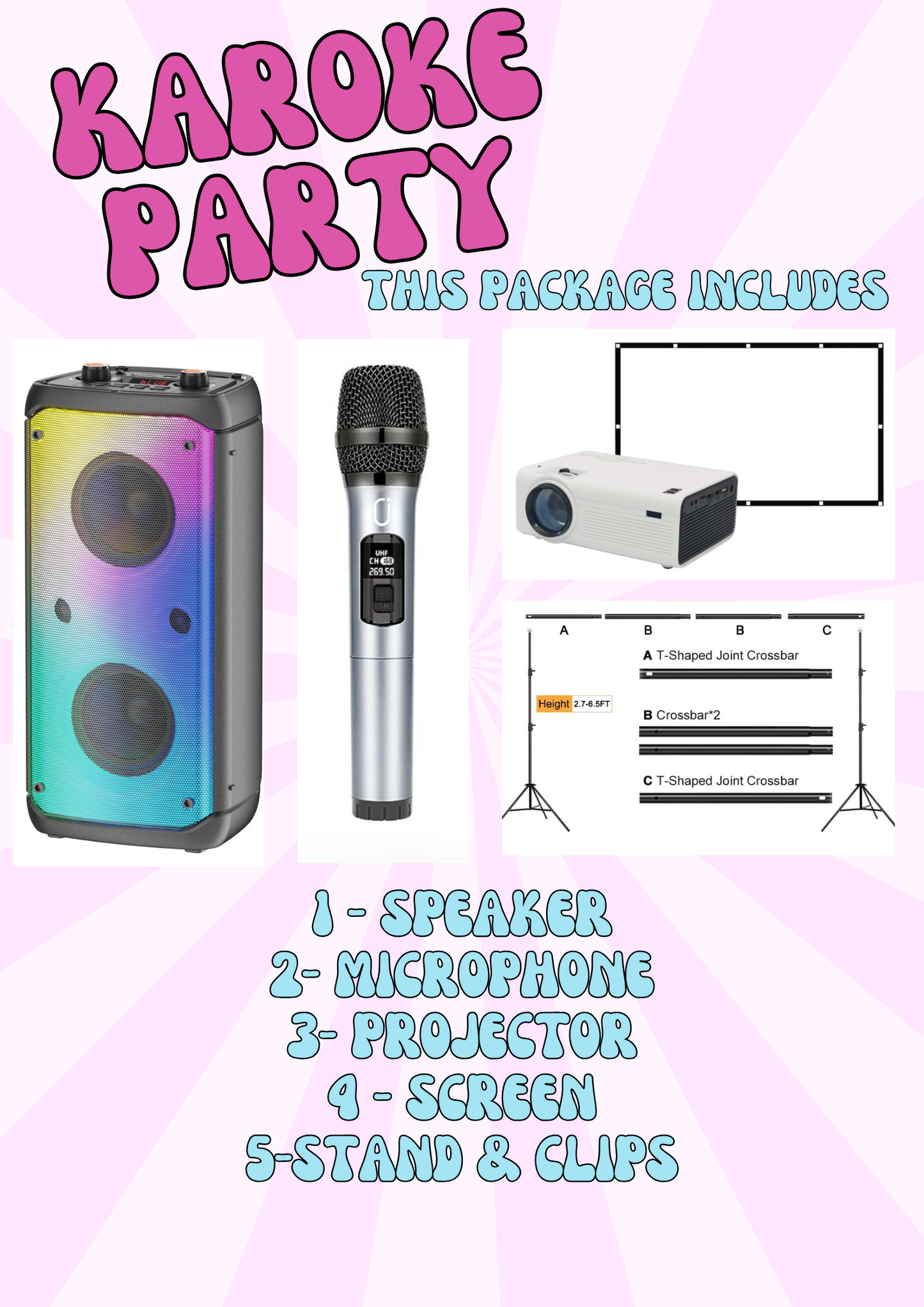 Karaoke Party Rental